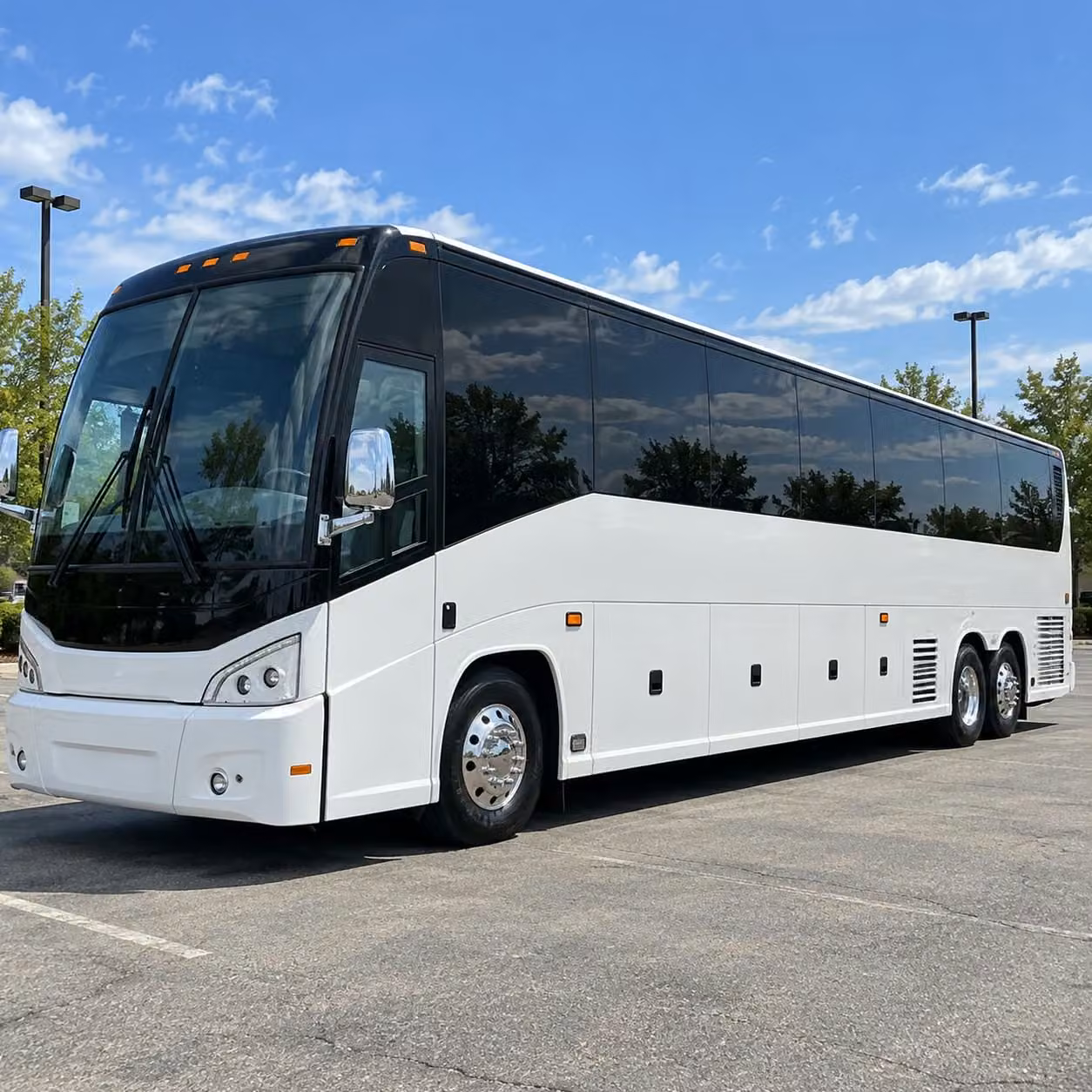 lafayette zoo and cypress island preserve field trip shuttle bus rentals